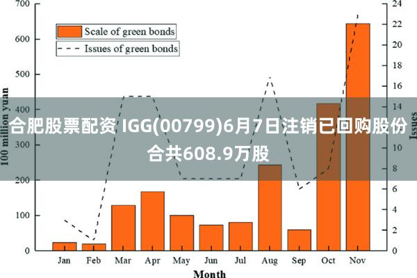 合肥股票配资 IGG(00799)6月7日注销已回购股份合共608.9万股