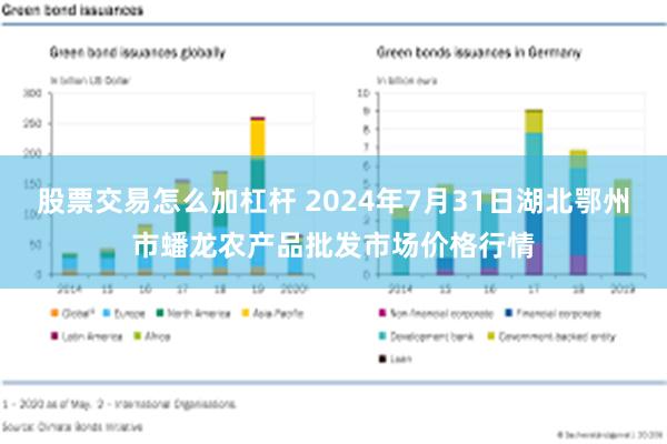 股票交易怎么加杠杆 2024年7月31日湖北鄂州市蟠龙农产品批发市场价格行情