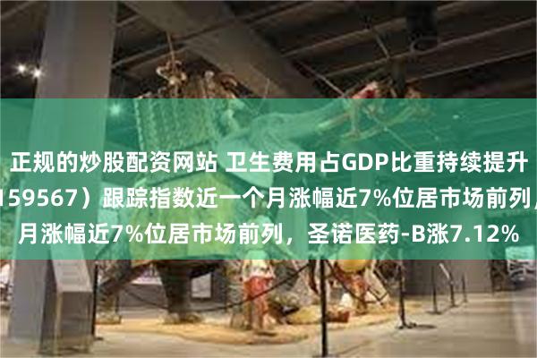 正规的炒股配资网站 卫生费用占GDP比重持续提升！港股创新药ETF（159567）跟踪指数近一个月涨幅近7%位居市场前列，圣诺医药-B涨7.12%