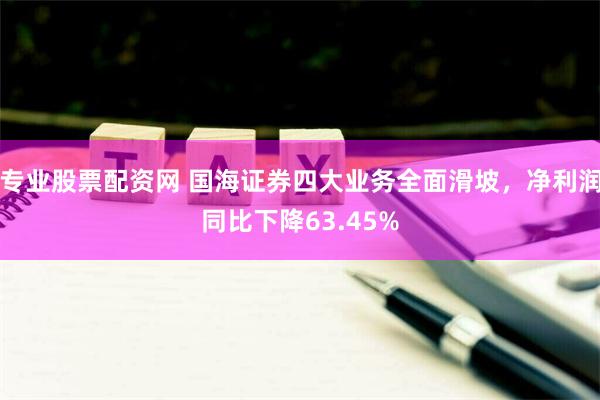 专业股票配资网 国海证券四大业务全面滑坡，净利润同比下降63.45%