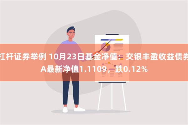 杠杆证券举例 10月23日基金净值：交银丰盈收益债券A最