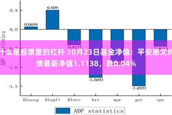 什么是股票里的杠杆 10月23日基金净值：平安惠文纯债最新净值1.1138，跌0.04%