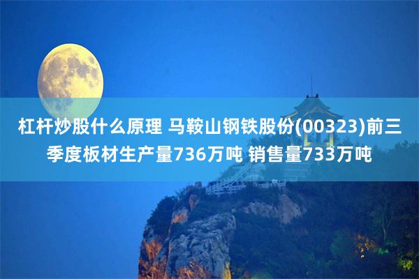 杠杆炒股什么原理 马鞍山钢铁股份(00323)前三季度板材生产量736万吨 销售量733万吨