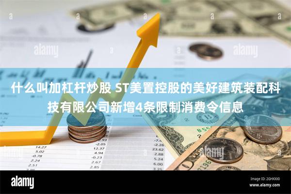 什么叫加杠杆炒股 ST美置控股的美好建筑装配科技有限公司新增4条限制消费令信息