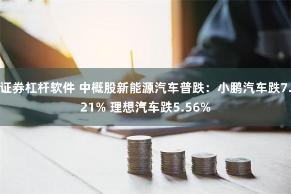 证券杠杆软件 中概股新能源汽车普跌：小鹏汽车跌7.21% 理想汽车跌5.56%