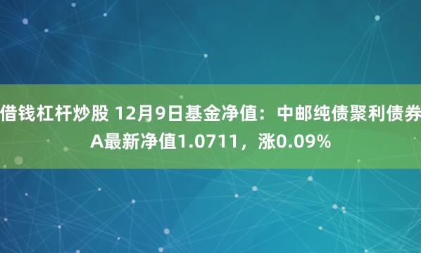 借钱杠杆炒股 12月9日基金净值：中邮纯债聚利债券A最新净值1.0711，涨0.09%