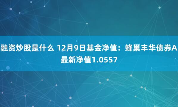 融资炒股是什么 12月9日基金净值：蜂巢丰华债券A最新净值1.0557