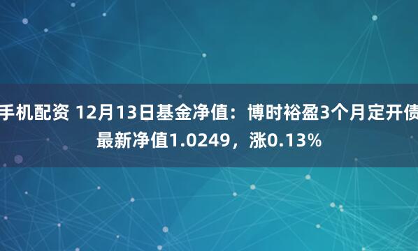 手机配资 12月13日基金净值：博时裕盈3个月定开债最新净值1.0249，涨0.13%