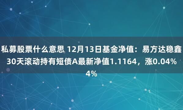 私募股票什么意思 12月13日基金净值：易方达稳鑫30天滚动持有短债A最新净值1.1164，涨0.04%