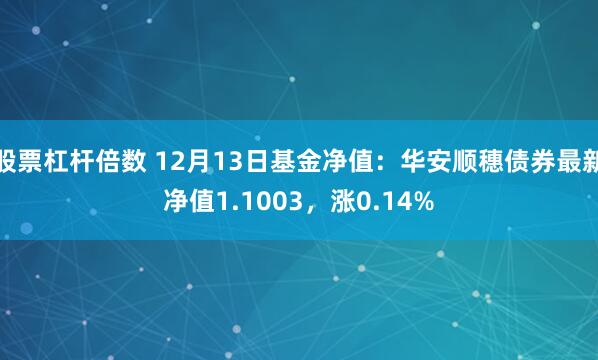 股票杠杆倍数 12月13日基金净值：华安顺穗债券最新净值1.1003，涨0.14%