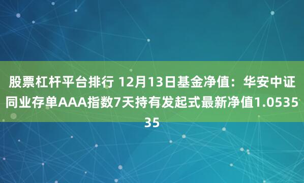 股票杠杆平台排行 12月13日基金净值：华安中证同业存单AAA指数7天持有发起式最新净值1.0535