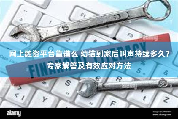 网上融资平台靠谱么 幼猫到家后叫声持续多久？专家解答及有效应对方法