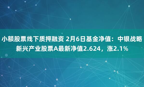 小额股票线下质押融资 2月6日基金净值：中银战略新兴产业股票A最新净值2.624，涨2.1%