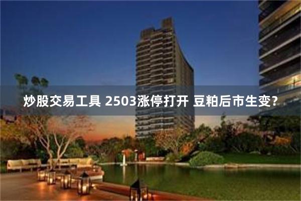 炒股交易工具 2503涨停打开 豆粕后市生变？