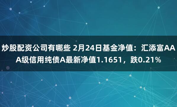 炒股配资公司有哪些 2月24日基金净值：汇添富AAA级信用纯债A最新净值1.1651，跌0.21%