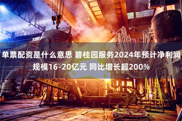 单票配资是什么意思 碧桂园服务2024年预计净利润规模16-20亿元 同比增长超200%